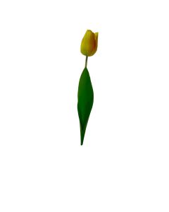 Flor Decor
