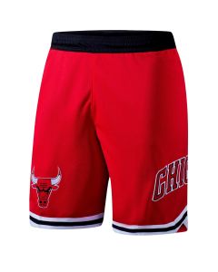 NBA Short Arc Wordmark Bulls