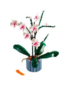 Orquídea