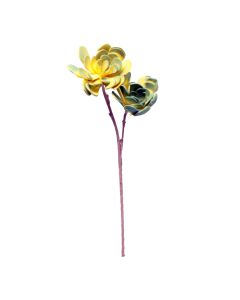 Planta Decorativa