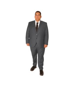 Traje 2 Botones Regular Fit te