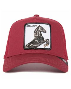 Gorra GB 101 0393 The Stallion Wine OSFA