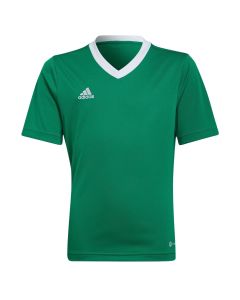 Jersey ENT22 JSY y