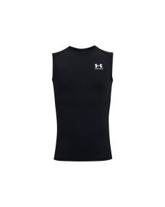 UA HG Armour SL