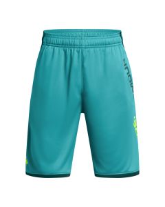 UA Stunt 3.0 Shorts