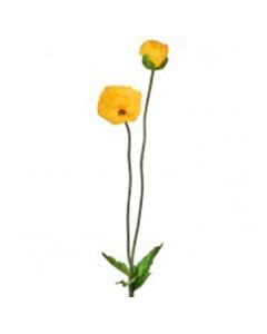 Amapola de Verano 29"