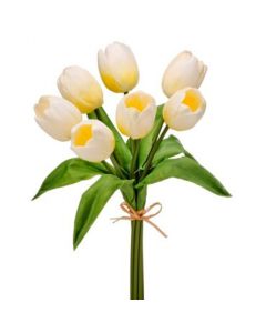 Ramo Tulipanes