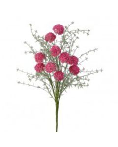 Vara de Allium X10 24"