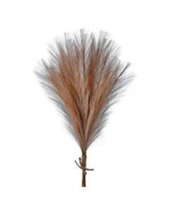 Pampas