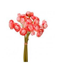 Ramo Ranuculus