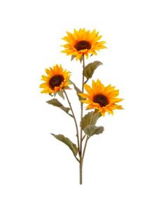 Girasoles