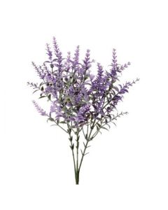 Vara Lavanda