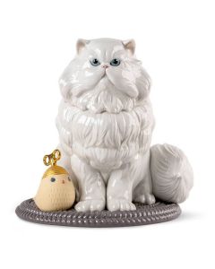 Gato Persa