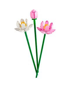 Flores de Loto