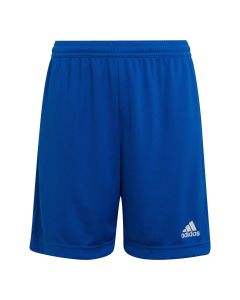 SHORTS / BERMUDAS de Futbol Niño