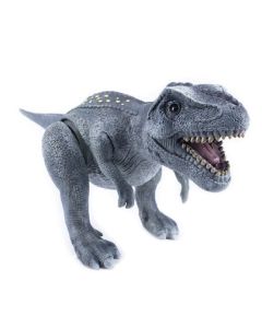 Rex Gordo