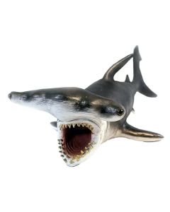 Tiburón Martillo