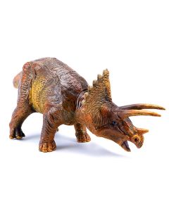Triceratops Chico