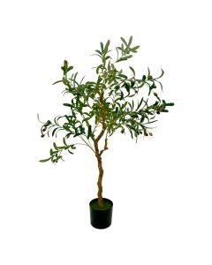 Árbol Olivo
