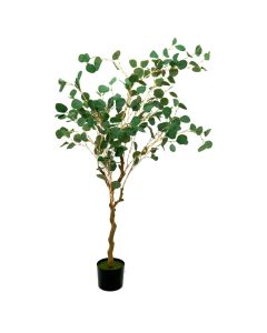 Árbol Eucalipto