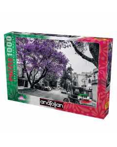 Viva México Jacarandas Ciudad de México