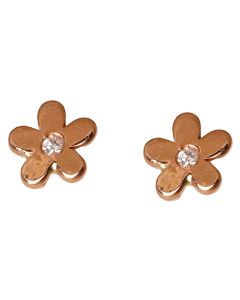 Aretes Broquel