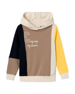 Sudadera Bloque de Colores con Capucha