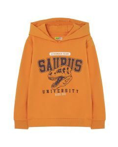 Sudadera con Capucha