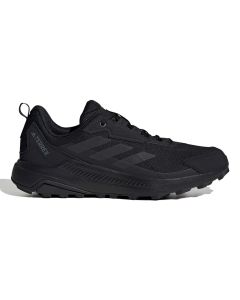 Tenis Terrex Anylander