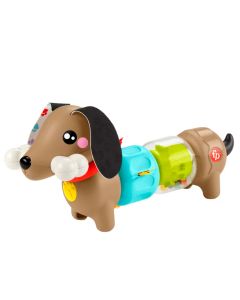FP Perrito Salchicha Actividades Divertidas