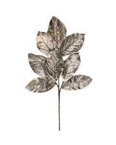 Hoja de Magnolia