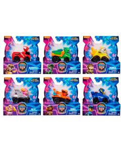 Pup Squad Racers RW Paw Patrol