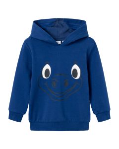 Sudadera con Estampado y Capucha