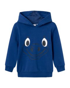 Sudadera con Estampado y Capucha