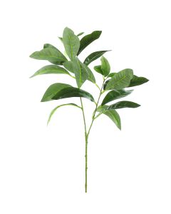 Vara de Hoja X2 Verde