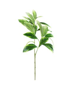 Vara de Hoja X2 TT Verde