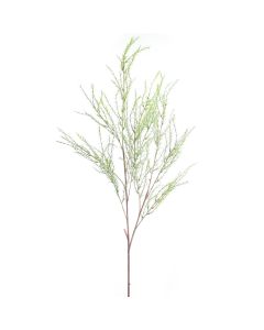 Rama de Trigo 42" Verde