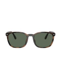 Lente Solar Caballero Polo