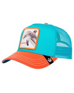 Gorra Dolphin Fan