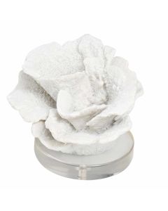Figura Decorativa Coral