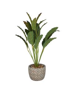 Planta Decorativa Artificial