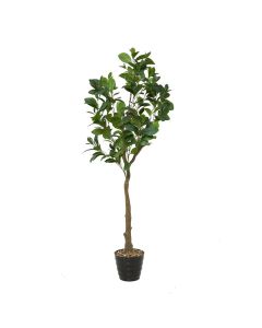 Planta Decorativa Artificial