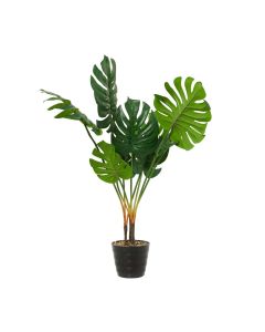 Planta Decorativa Artificial