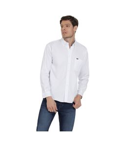 Camisa M / LARGA Clásica Botton Down