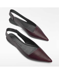 Zapato