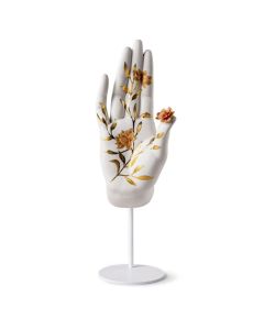 Mudra Protección