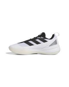 Tenis Subzone