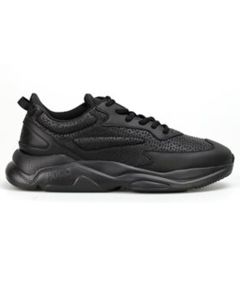 Tenis Casual