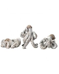 Figura Decorativa Pulpo 6"