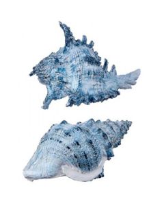 Figura Decorativa Marina 7.5"